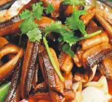 Iron Plate Eel