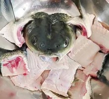 Fish Head and Bones