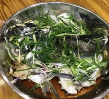 Steamed Bighead Carp