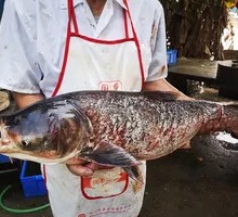Big Fishing Ground