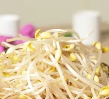 Mung Bean Sprouts