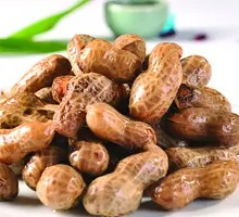 Peanut