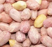 蒜香果仁