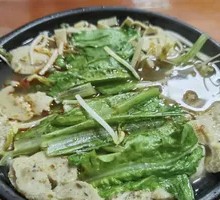 Oilseed lettuce