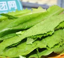 Oilseed lettuce