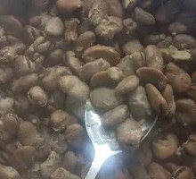 大乌豆