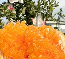 Paba Tangerine