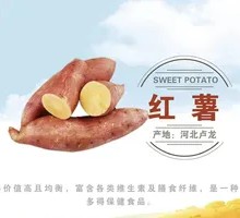 Sweet Potato