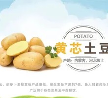 Potato