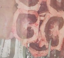 Lamb Kidneys