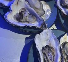 Oyster