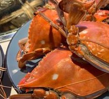 Spider Crab