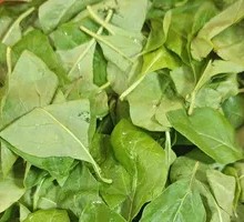 Goji Leaf