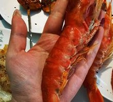 Argentine Red Shrimp