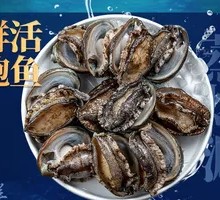 Live Abalone