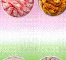 芳小竹