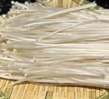 Enoki Mushroom