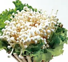 Enoki Mushroom