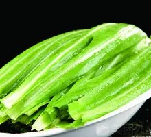 Oilseed lettuce