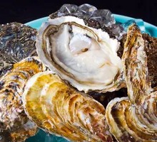 Fresh Oysters