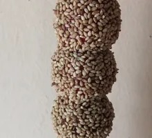 Sesame Red Fruit Sugar Cane