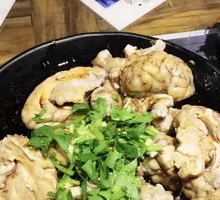Sheep Brain