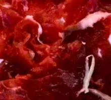 Tender Beef