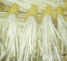 Tofu Skin with Enoki Mushrooms