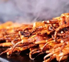 Grilled Squid Tentacles