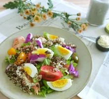 藜麦素食达人
