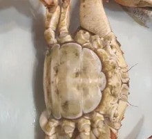Sea Crab