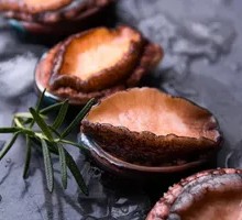 Abalone