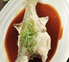 Steamed Sea Bass