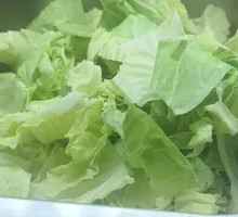 洋白菜