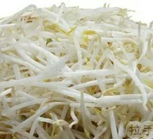Bean sprouts