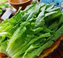 Oilseed lettuce