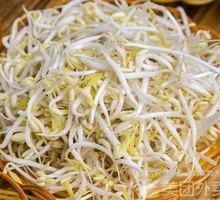Bean sprouts