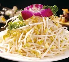 Bean sprouts