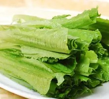 Oilseed lettuce
