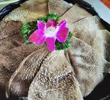 Premium Fresh Tripe