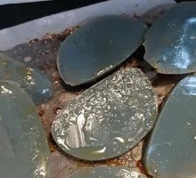 Steamed Egg