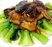 Bamboo Shoots with Chinese Cabbage