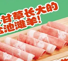 Yanchi Tan Lamb