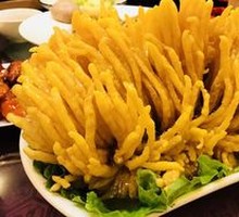 Coral Fish