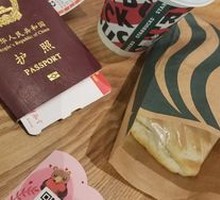 Chicken Panini