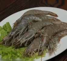 巴掌大虾