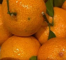 Sugar Orange