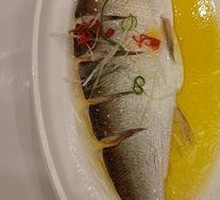 Chicken Broth White Fish