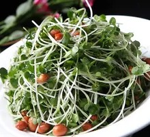 Sweet and Sour Radish