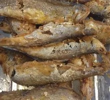 Salted Fish